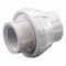 Apollo 1/2 in. x 1/2 in. PVC FIP x FIP Union PVCU12F - alternate 1